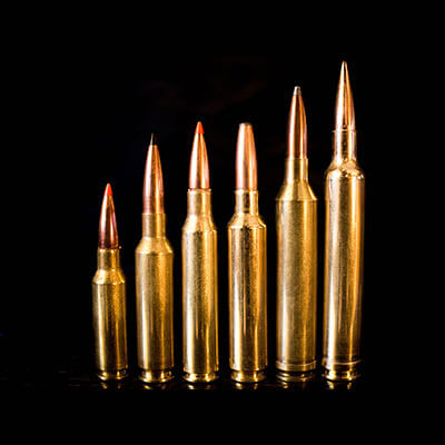 bullet